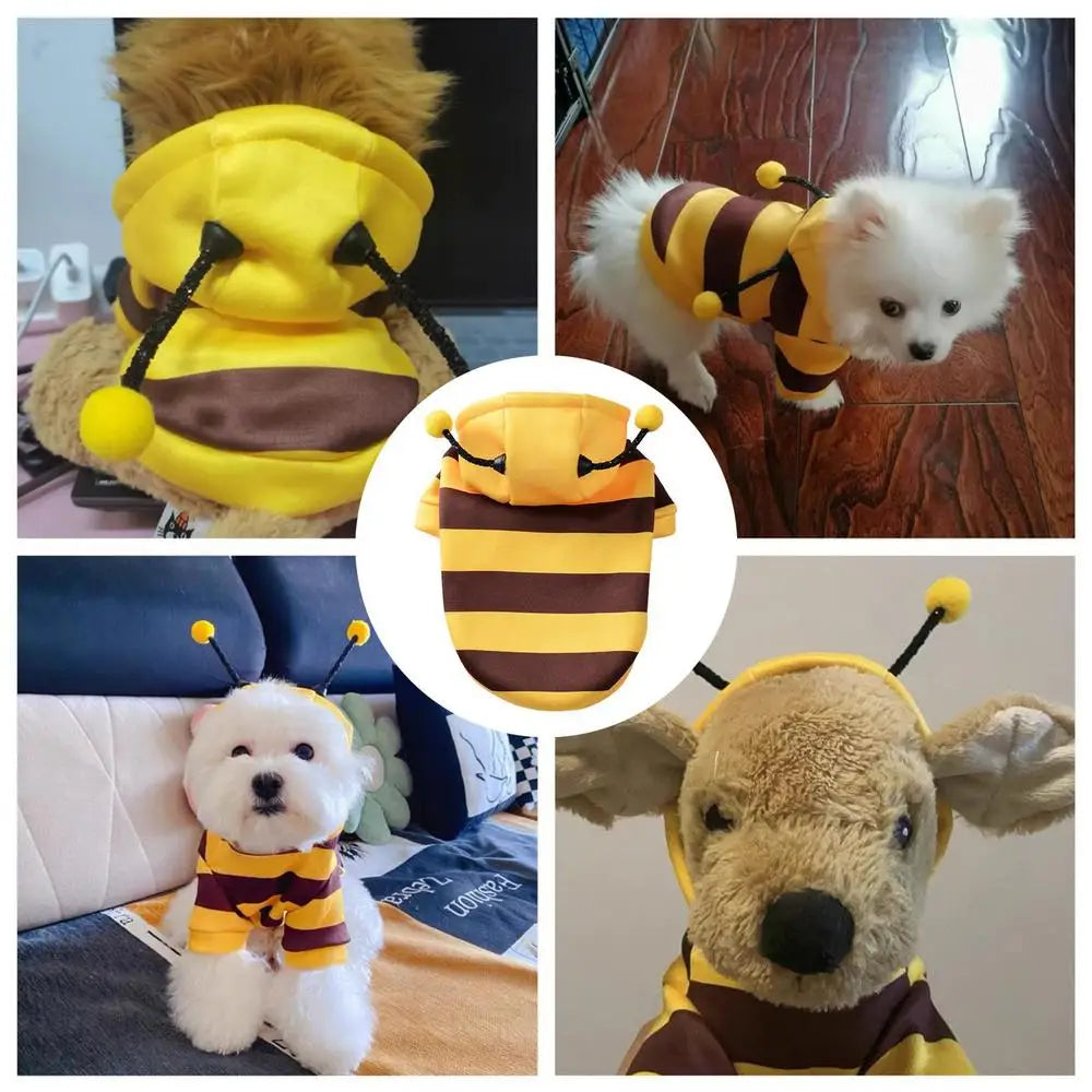 Costum de albină pentru pisică, câine, Halloween, animale de companie, cosplay, hanorace, Halloween, Crăciun, cosplay, rochie, hanorac pentru animale de companie mici, medii, câine, pisică