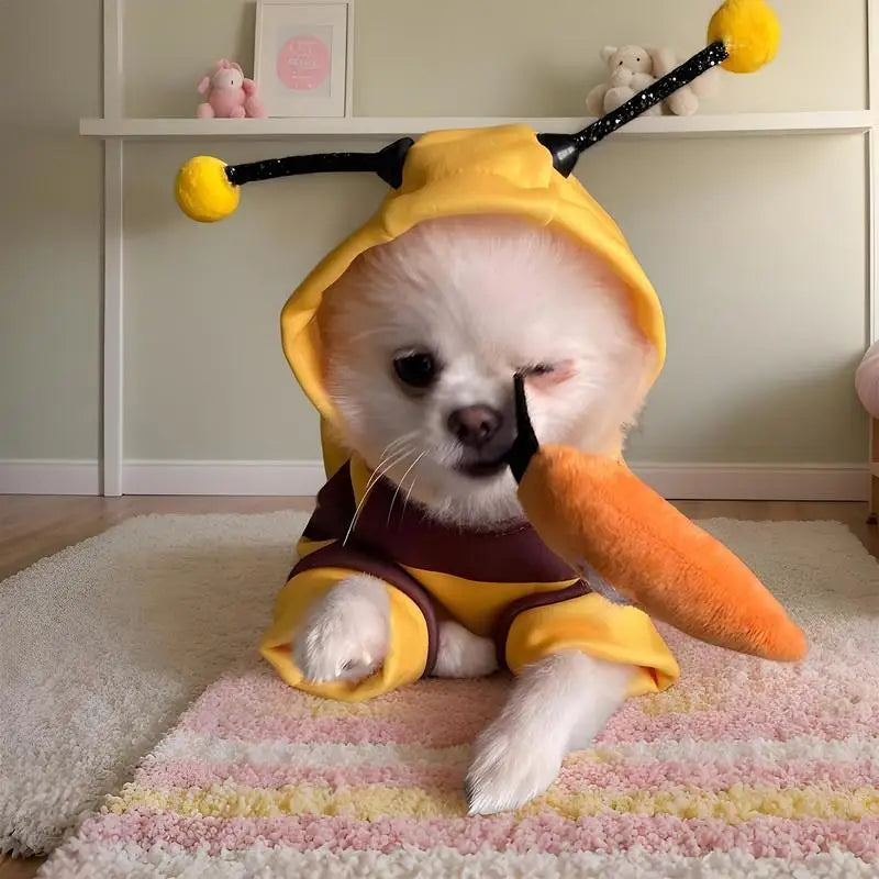Costum de albină pentru pisică, câine, Halloween, animale de companie, cosplay, hanorace, Halloween, Crăciun, cosplay, rochie, hanorac pentru animale de companie mici, medii, câine, pisică