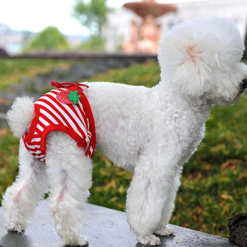 1PC Pet Dog Shorts sanitare fiziologice pantaloni drăguț fructe Print scutec câine pantaloni scurți lavabili femele câine chiloți lenjerie intimă boxeri