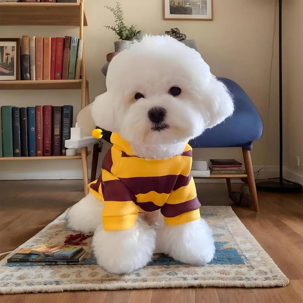 Costum de albină pentru pisică, câine, Halloween, animale de companie, cosplay, hanorace, Halloween, Crăciun, cosplay, rochie, hanorac pentru animale de companie mici, medii, câine, pisică