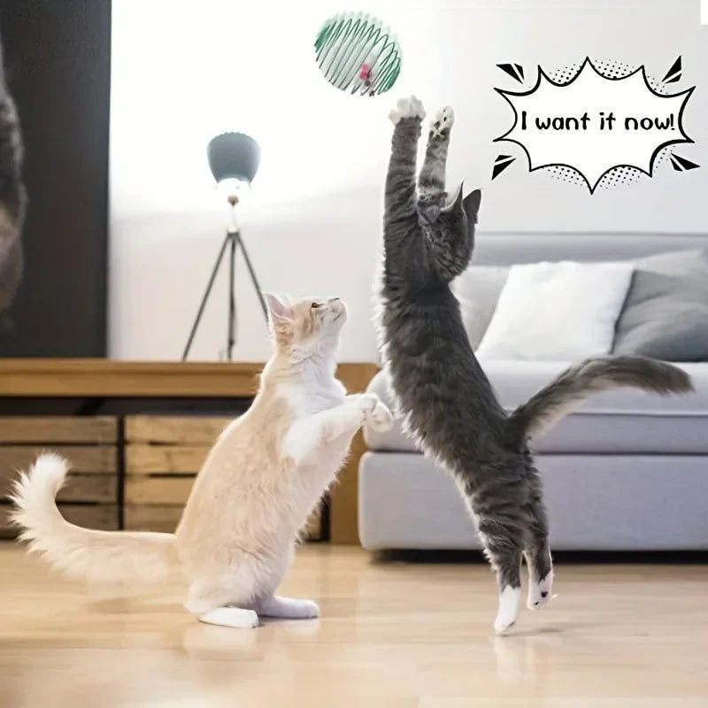 1 buc jucărie amuzantă pentru pisici, extensibilă, cu arcuri pentru pisoi, jucării interactive, bile pentru pisici, culoare aleatorie, accesorii pentru pisici, animale de companie
