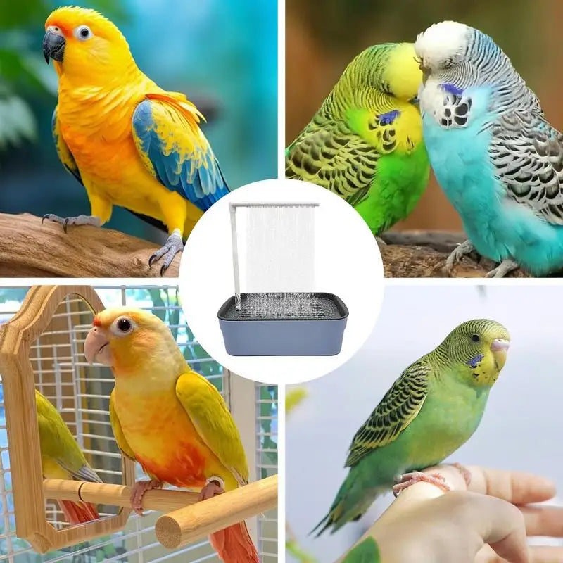 Baie automată pentru păsări de companie, USB electrică, cadă de baie pentru păsări mari, duș, cadă de baie multifuncțională pentru păsări, papagal, cadă de baie pentru curățarea papagalului
